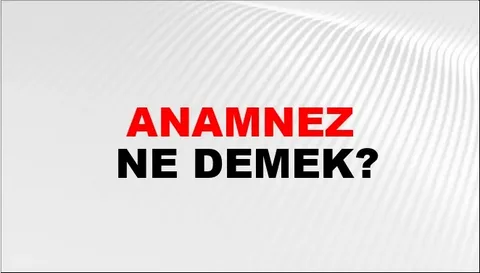 anemnez-ne-demek