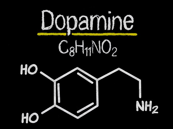 dopamin-ne-demek
