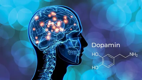 dopamin-hormonu-nedir