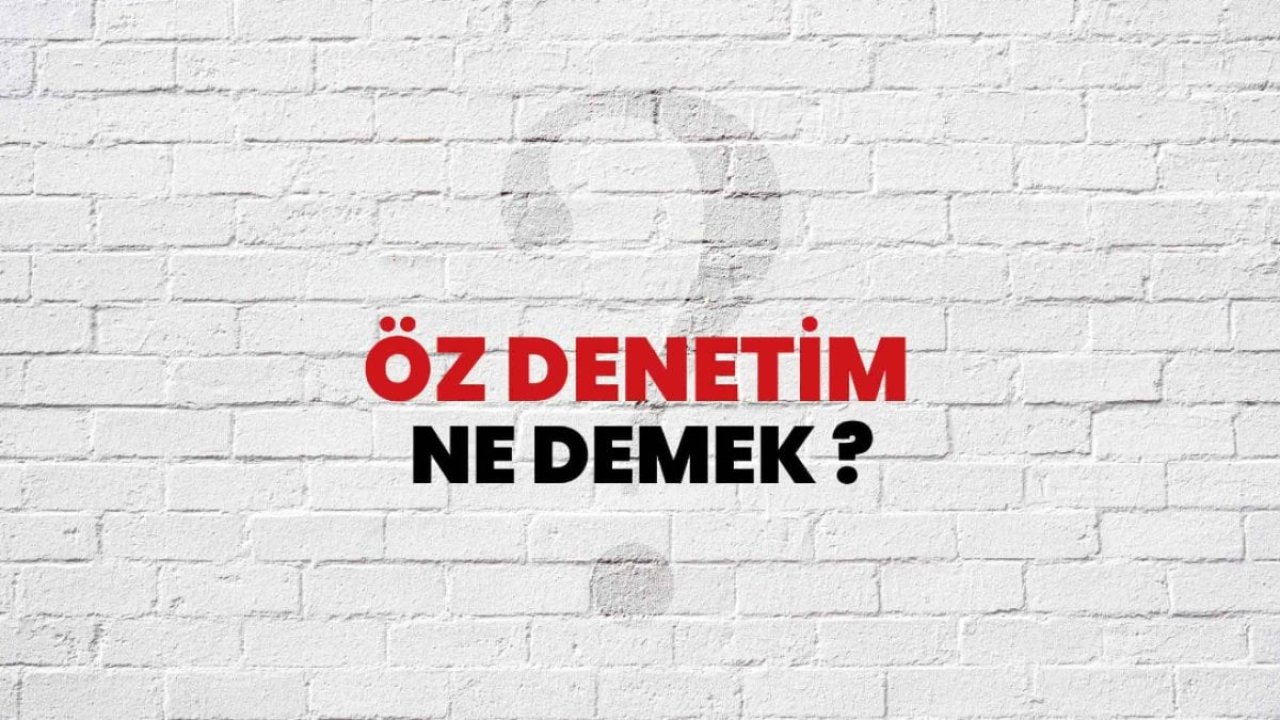 oz-denetim-ne-demek