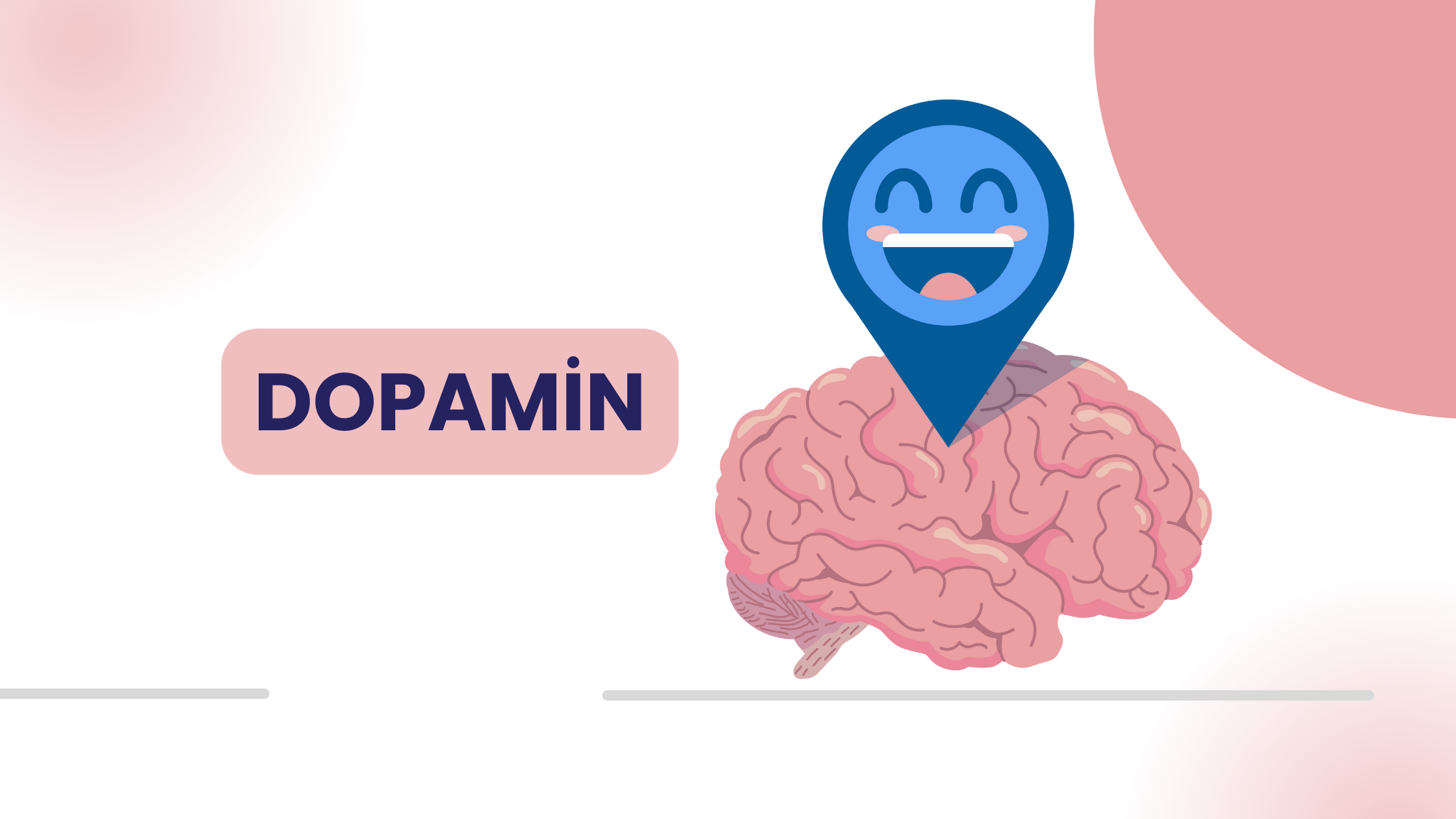 dopamin-nelerde-bulunur